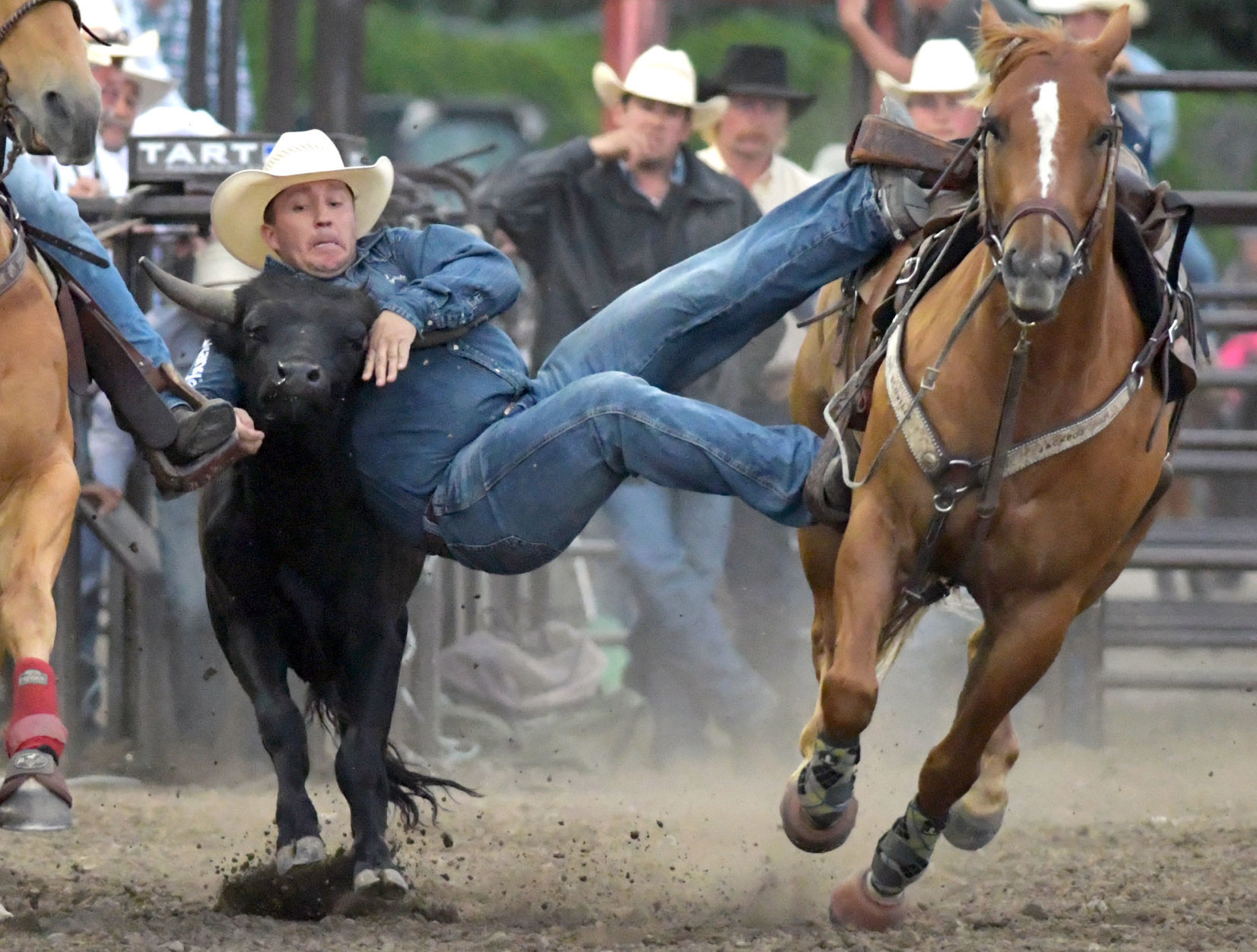 Mandan Rodeo Days